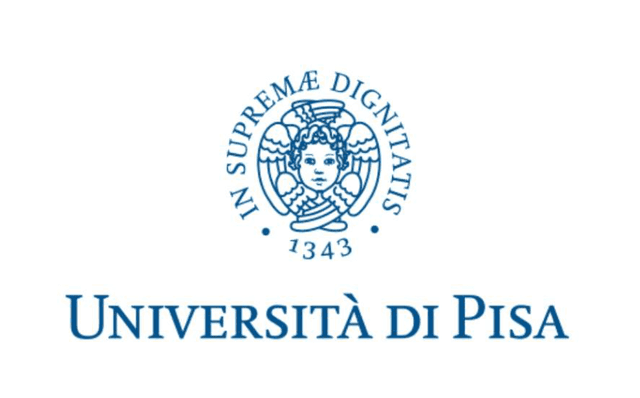University of Pisa